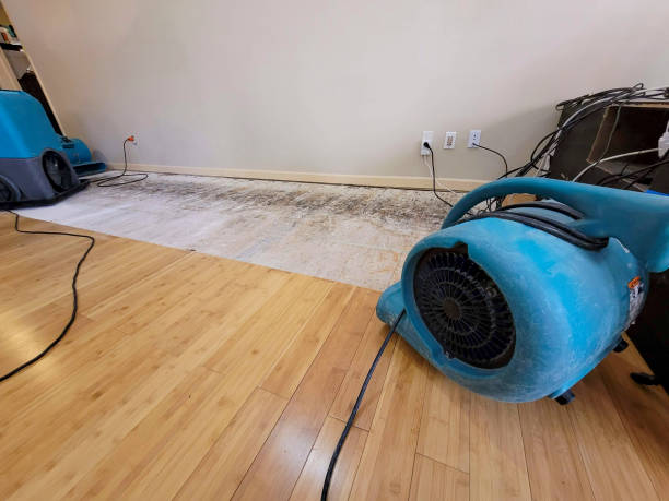 Professional Flood Damage Cleanup technician working in Bethlehem, IN